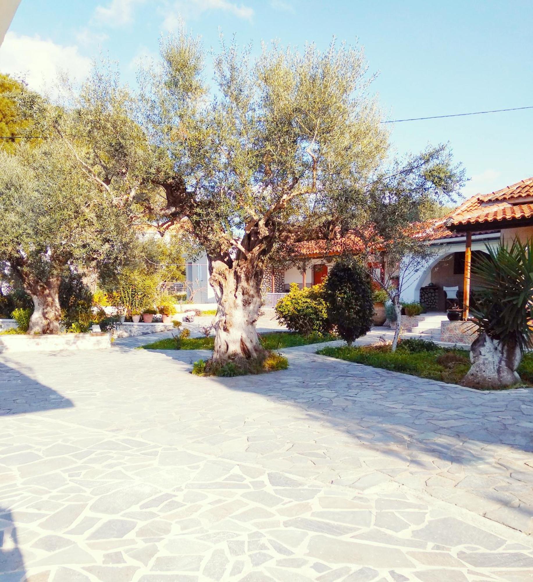 Irini Studios Alykes  Exterior foto