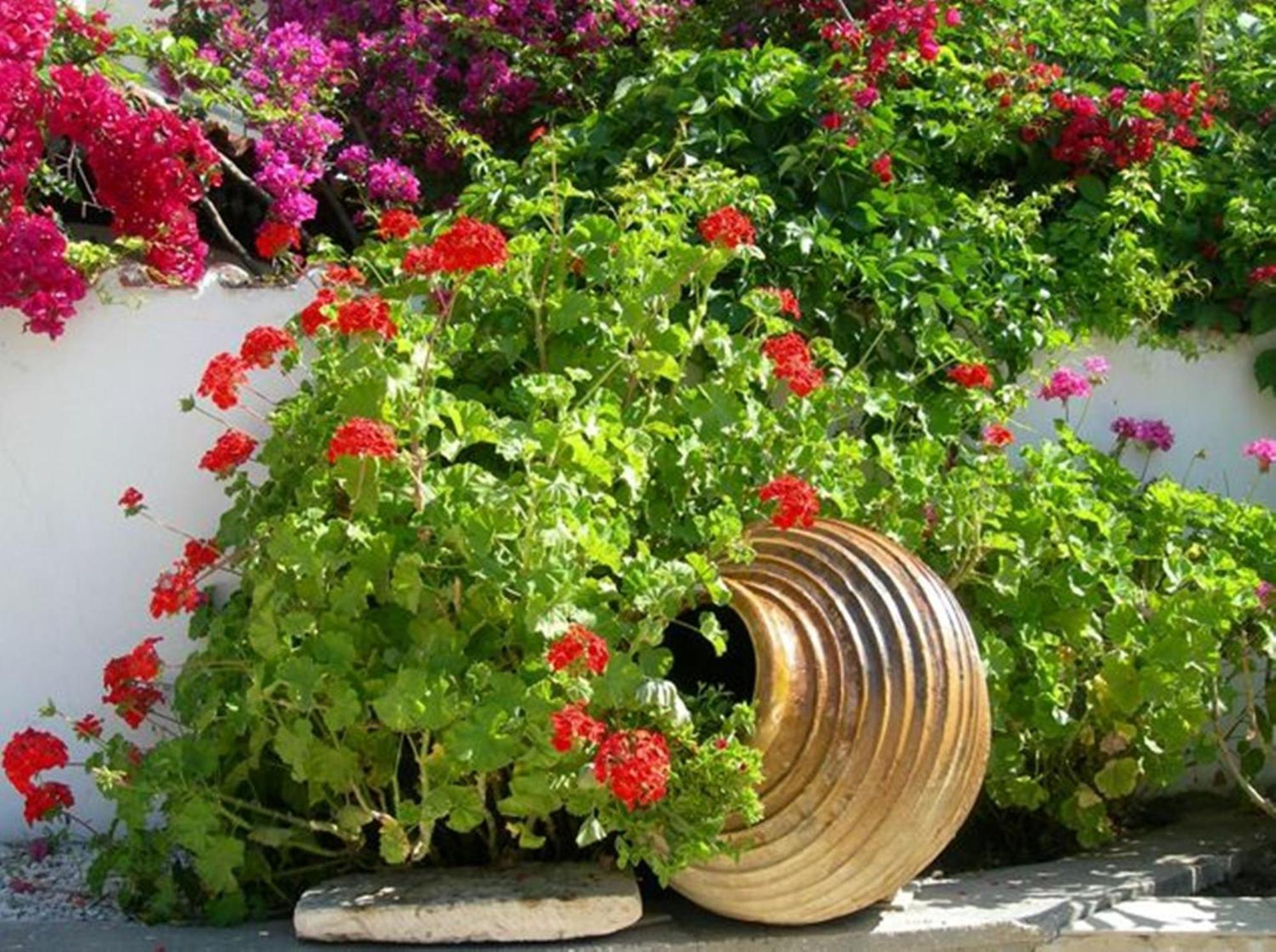 Irini Studios Alykes  Exterior foto
